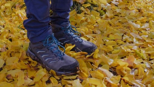 Scarpa Moraine hiking boot in yellow leaves