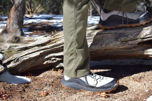 closed up of a hiker's feet with one foot on the sandy ground and one on top of a log