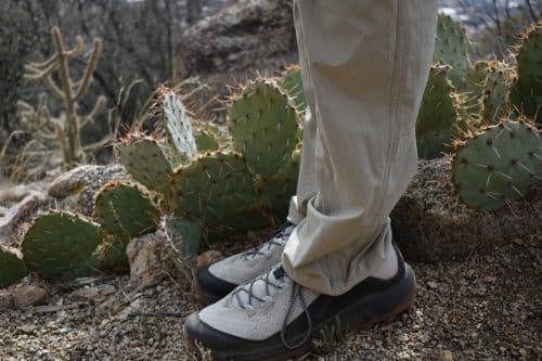 close up of Danner N45 hiking shoes in front of a prickly pear cactus